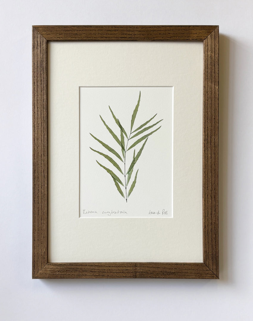 Mahonia Print