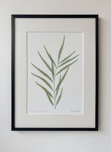Mahonia Print