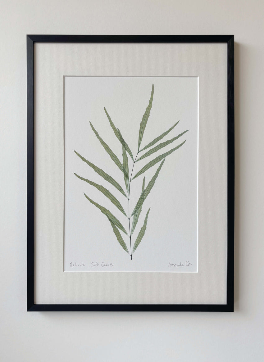 Mahonia Print