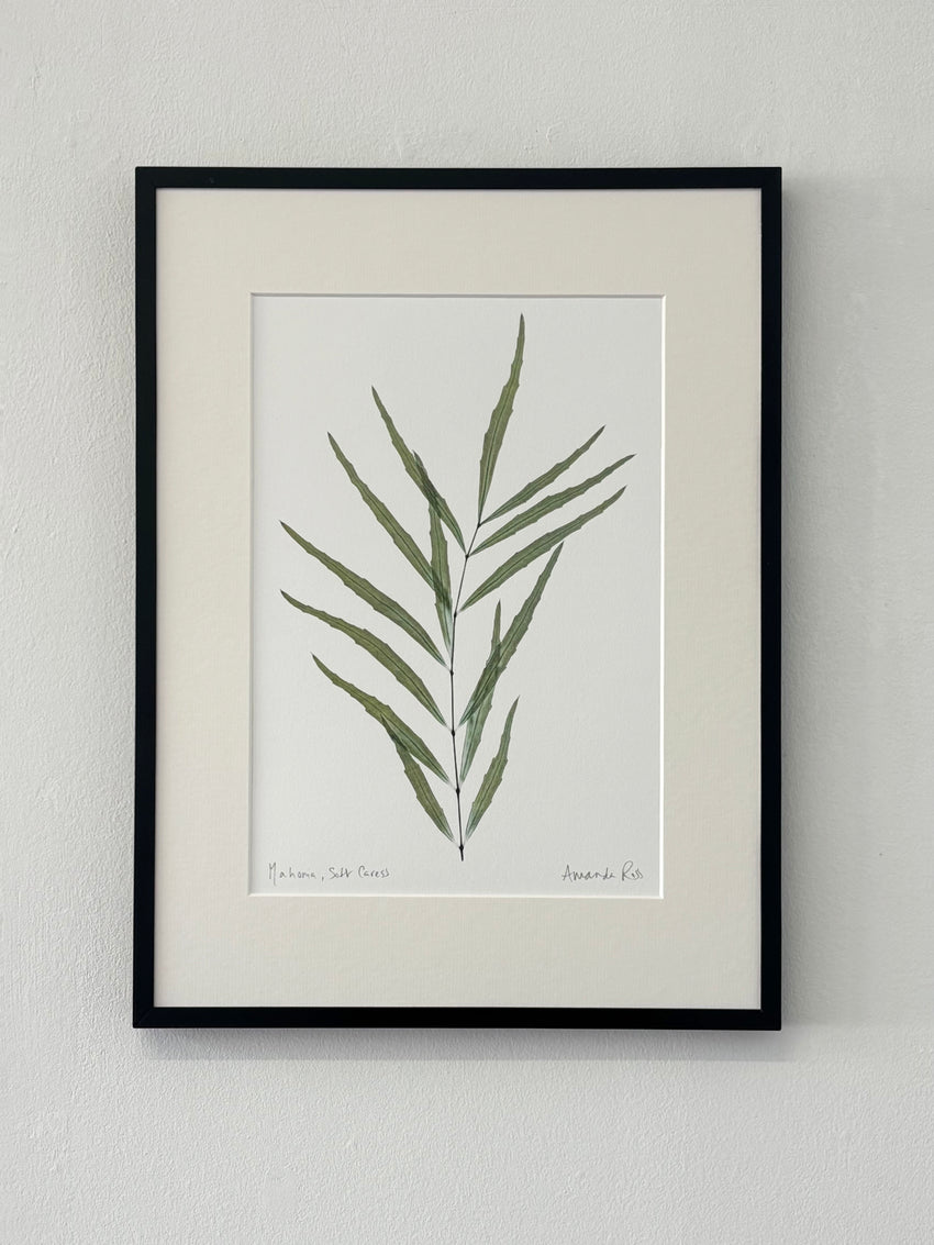 Mahonia Print