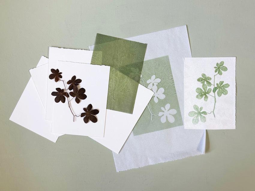 Nature Printing Kit