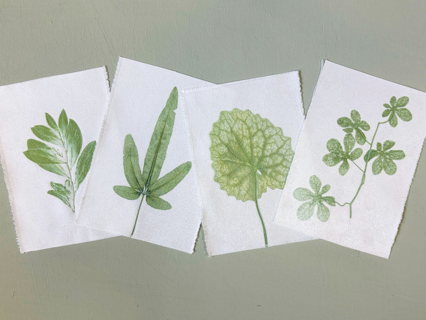Nature Printing Kit