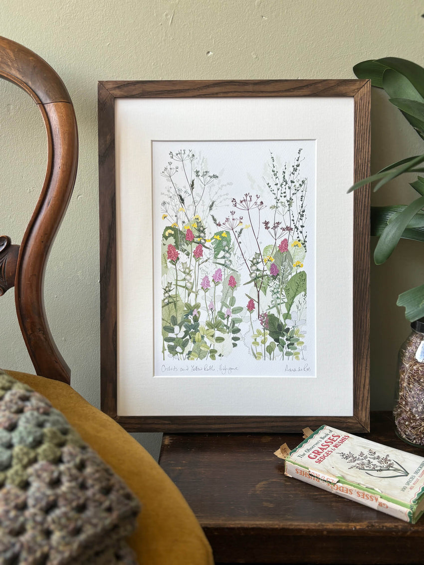 Orchids and Yellow Rattle Print