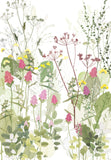 Orchids and Yellow Rattle Print