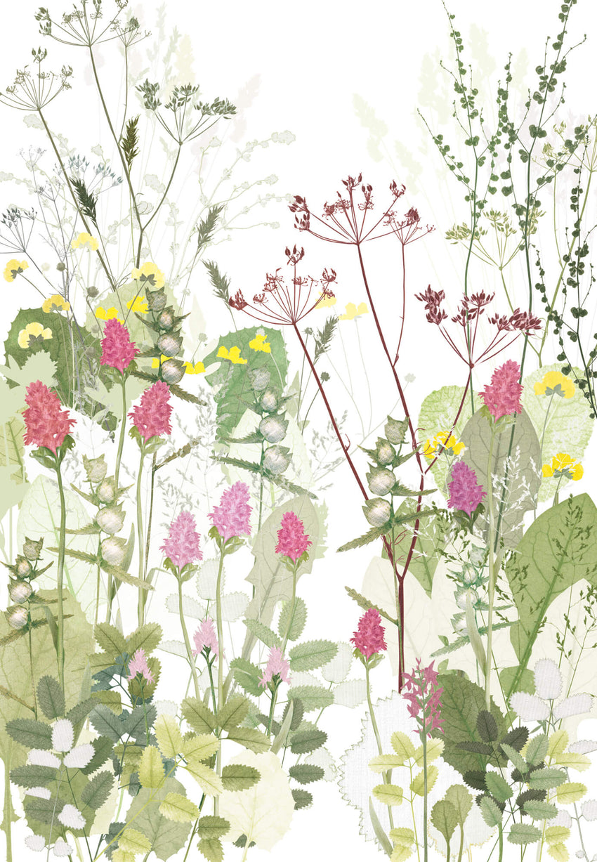 Orchids and Yellow Rattle Print