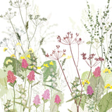Orchids and Yellow Rattle Print