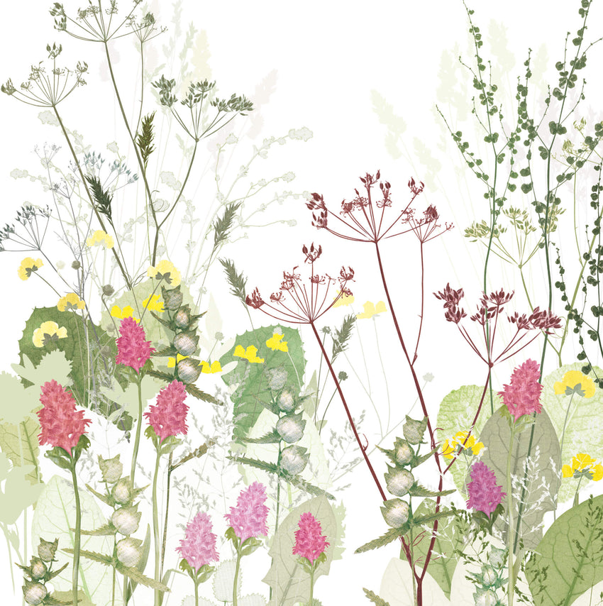 Orchids and Yellow Rattle Print