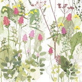Orchids and Yellow Rattle Print