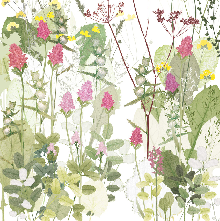 Orchids and Yellow Rattle Print