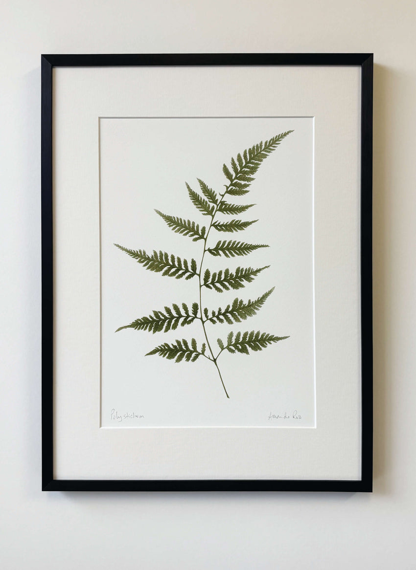 Polystichum Print
