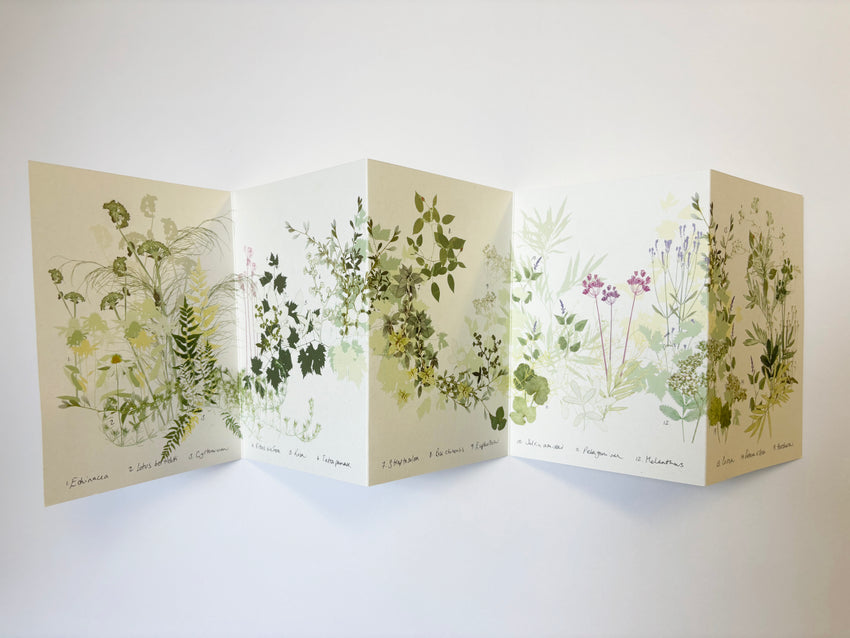 'The Secret Garden' Concertina Book