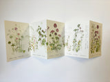 'The Secret Garden' Concertina Book