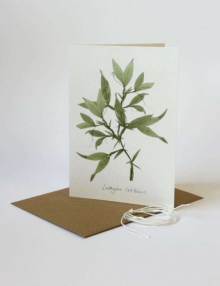 Sweet Pea Card