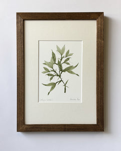 Sweet Pea Print