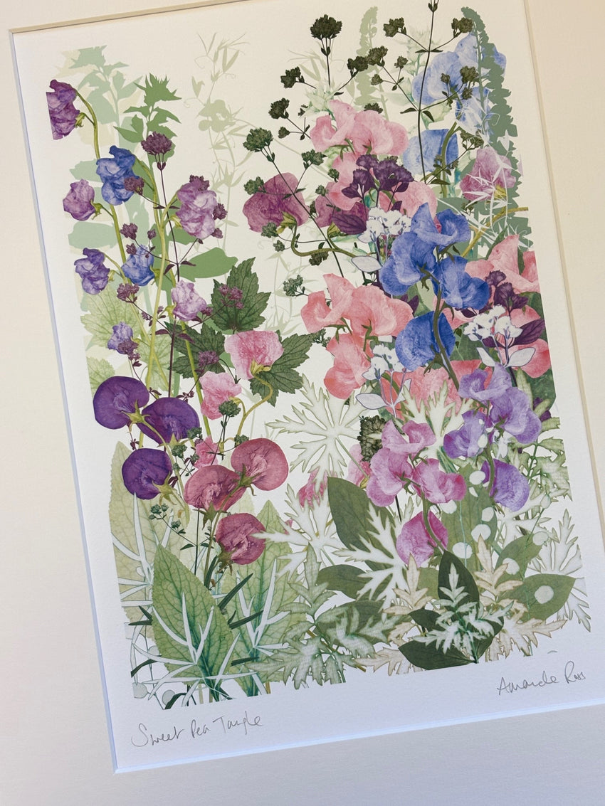 Sweet Pea Tangle Print