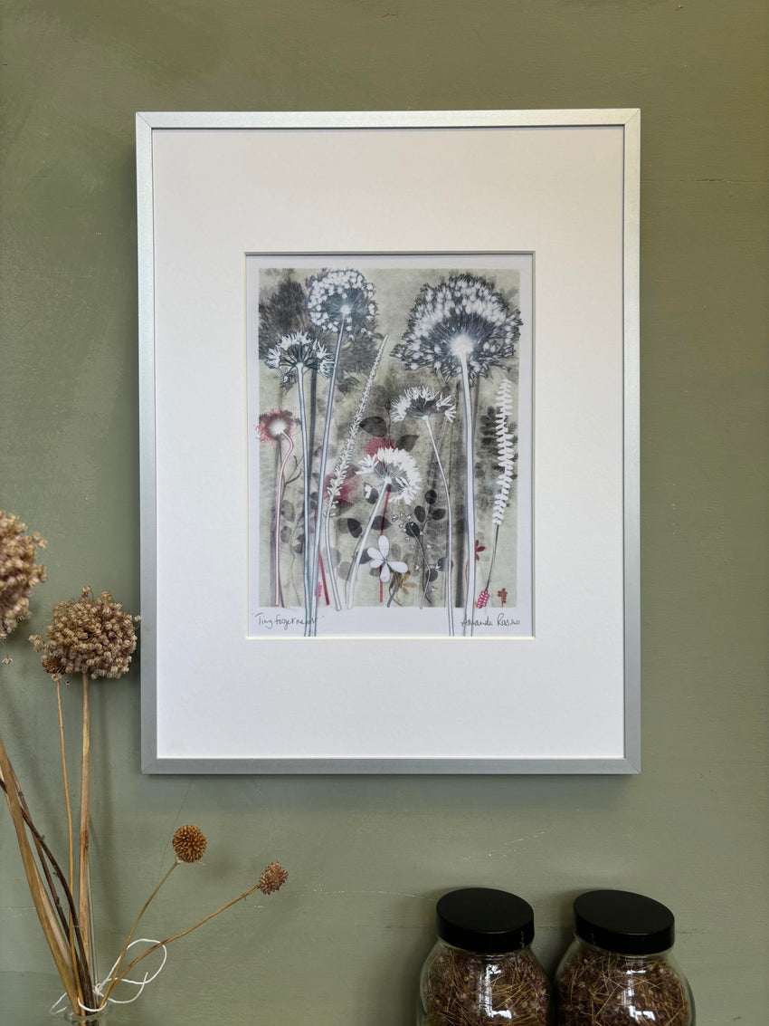 Tiny Forgetmenot, 30 x 40 cm