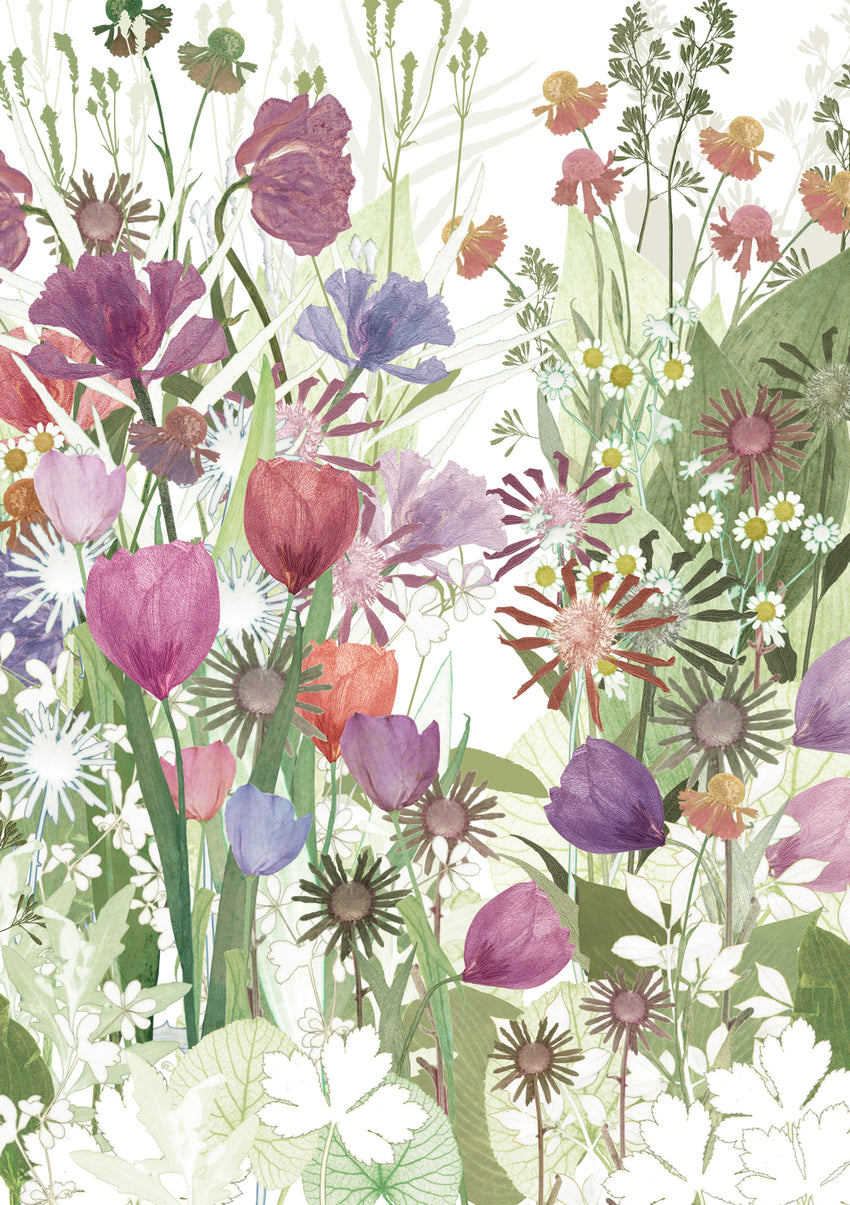 Tulip Field Card