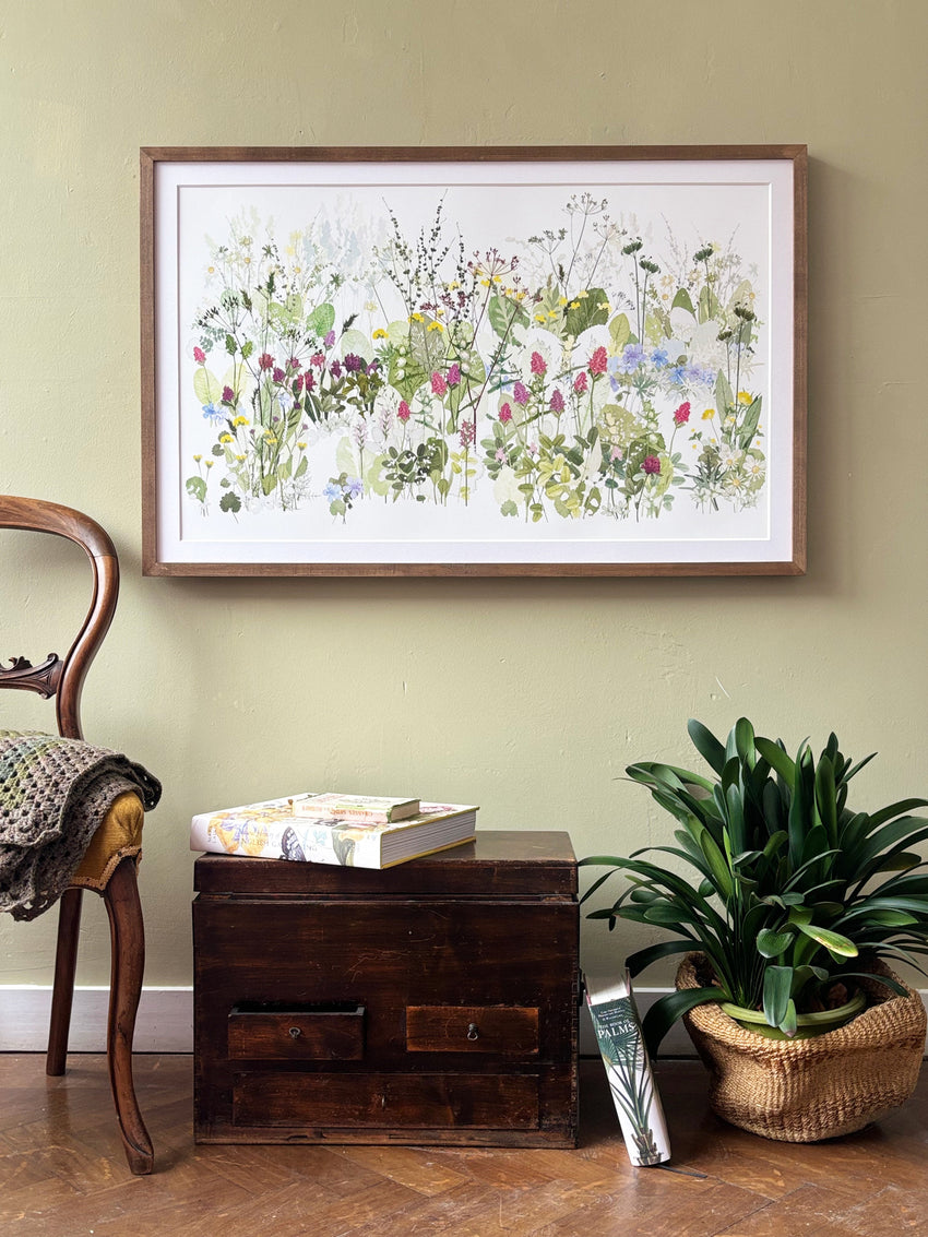 The Wildflower Meadow, Highgrove