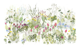 The Wildflower Meadow, Highgrove