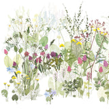 The Wildflower Meadow, Highgrove