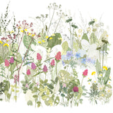 The Wildflower Meadow, Highgrove