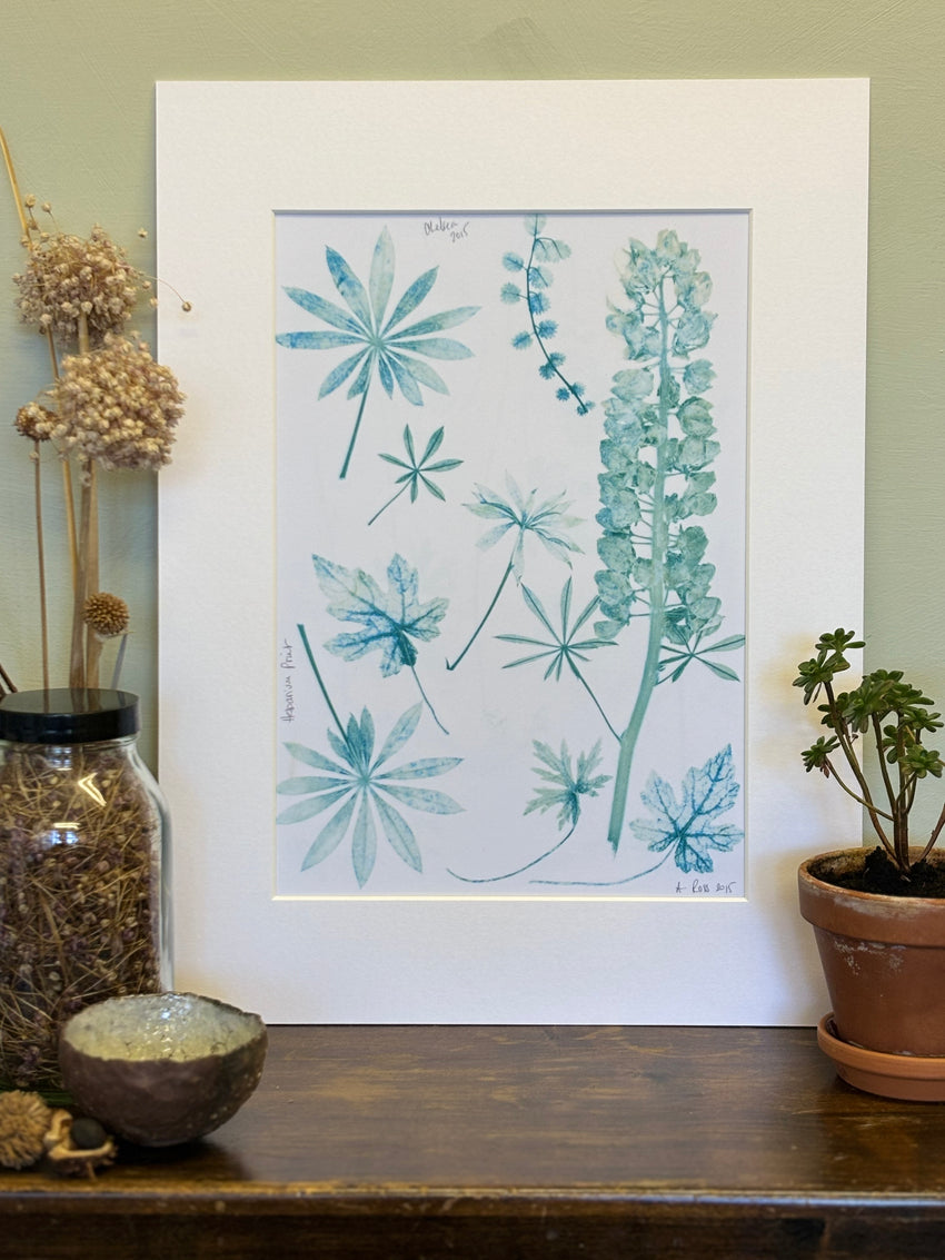 Lupin Leaves Herbarium Print