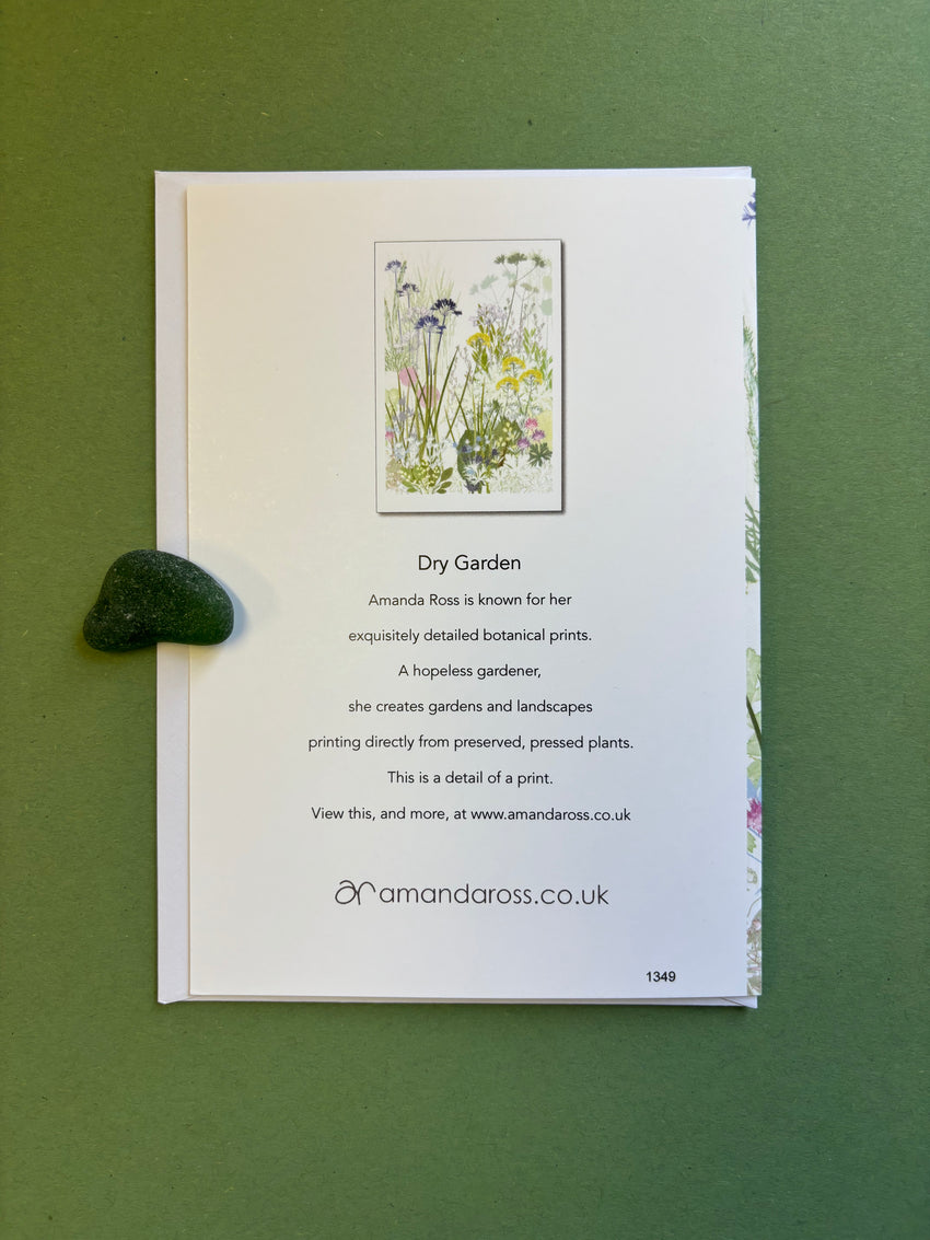 Dry Garden Greetings Card
