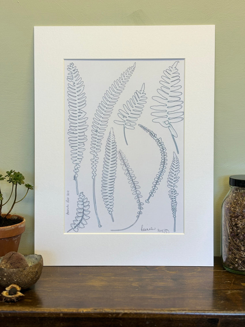 White Ferns 2014 Herbarium Print