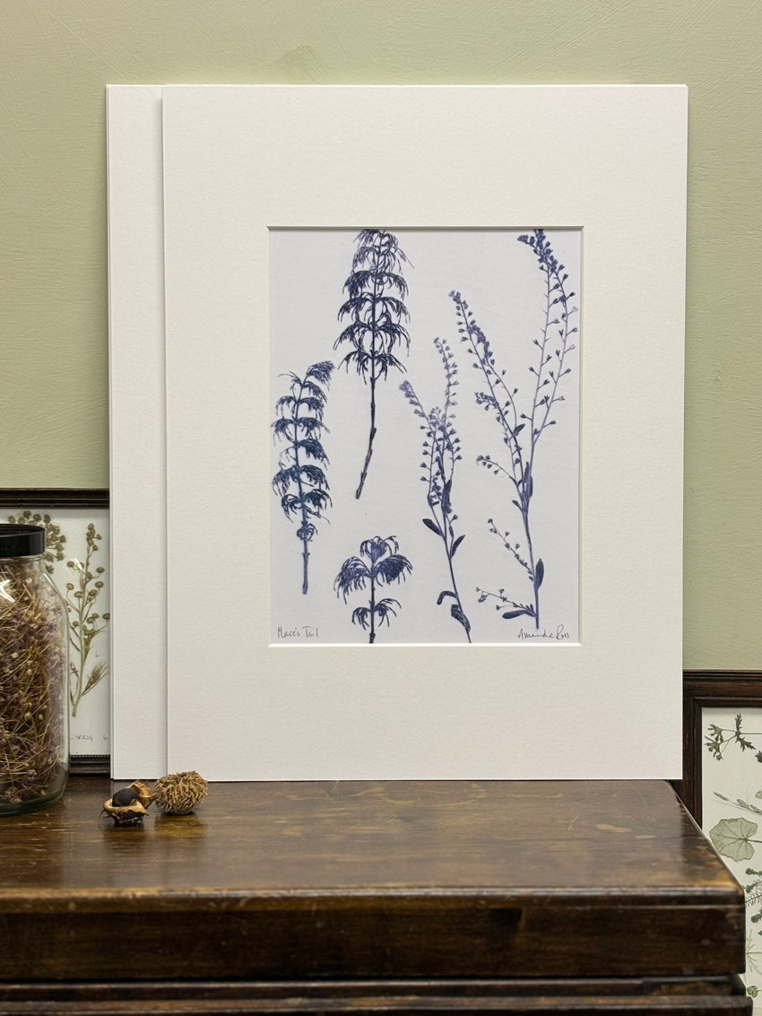 Mare's Tail Grey