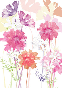 Pink Cosmos Card