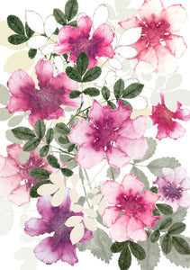 Dog Rose Card