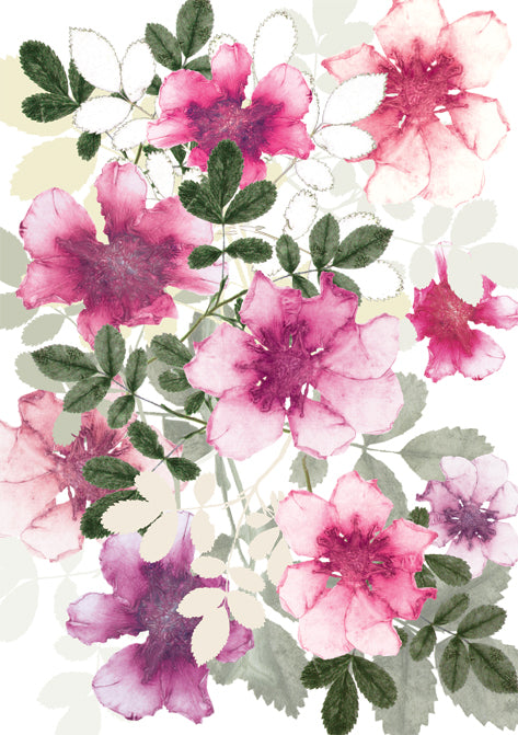 Dog Rose Card