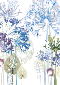 Agapanthus Forest Card