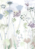 Wild Carrot Card