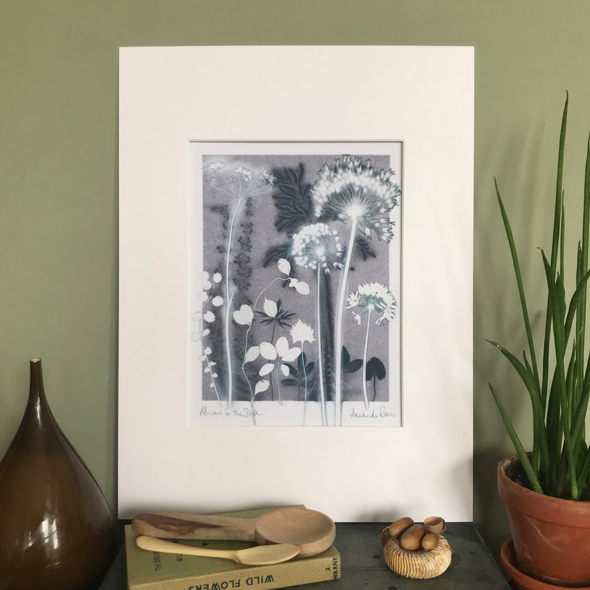 Alliums in the Dusk, 30 x 40