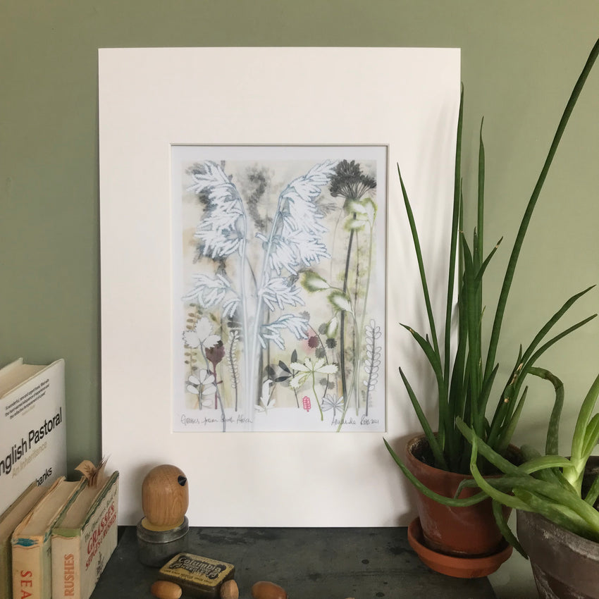 Grasses from South Africa, 30 x 40
