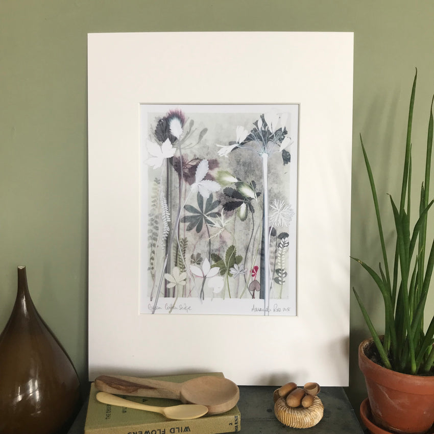 Green Cotton Sedge, 30 x 40 cm