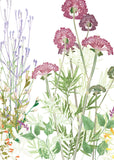 The Secret Garden Card