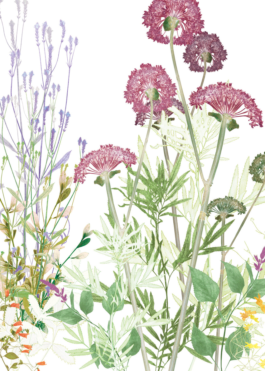 The Secret Garden Card