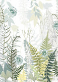 Ferns Card