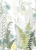 Ferns Card
