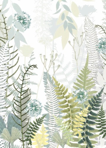 Ferns Card
