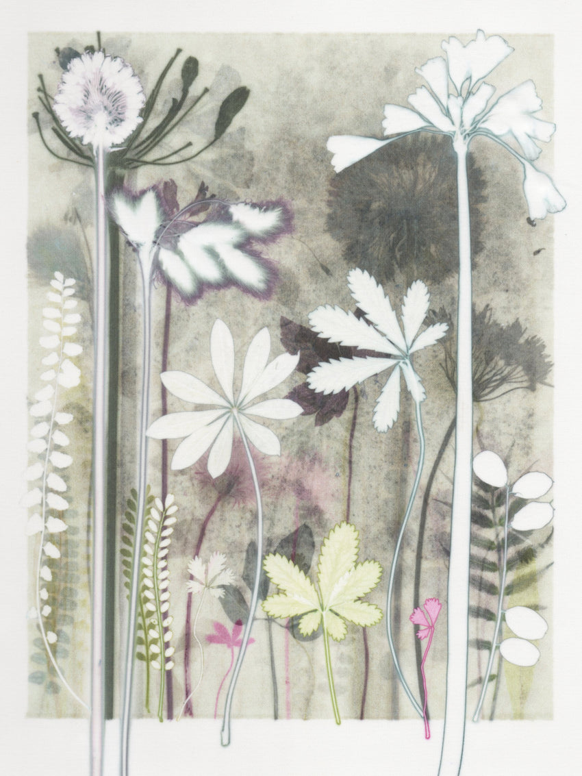 Four Cinquefoil Leaves, 30 x 40