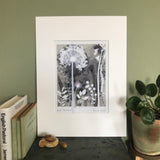 Bright Forgetmenot