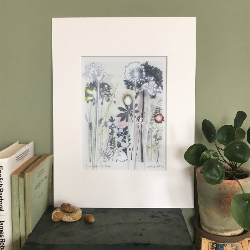 Green Hare's Tail Grass, 30 x 40