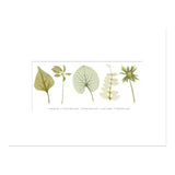 The Garden Sampler