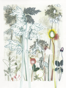 Afternoon Garden, 30 x 40