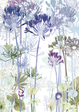 Agapanthus Greetings Card