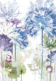 Agapanthus Forest Reproduction Print