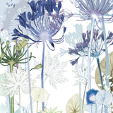 Agapanthus Path Print